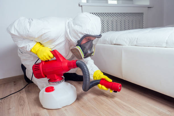 Best Residential Pest Control  in Cutler Bay, FL